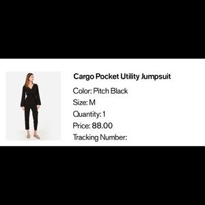 NWT Express Cargo Jumpsuit - NEVER WORN